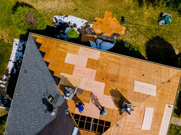 Best Roof Gutter Cleaning  in Channelview, TX